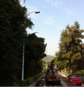 太阳集团tyc539可调光LED路灯进军深圳